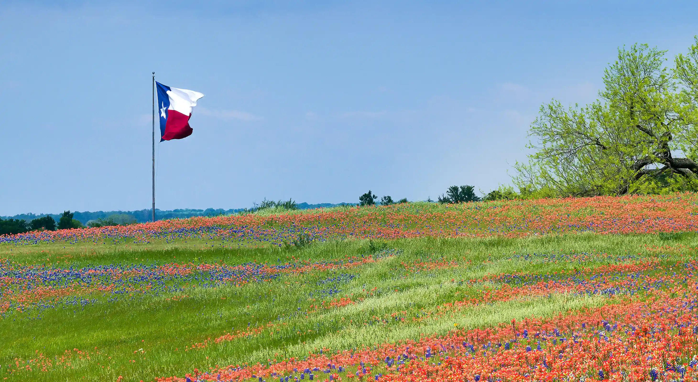 Allen concrete contractors